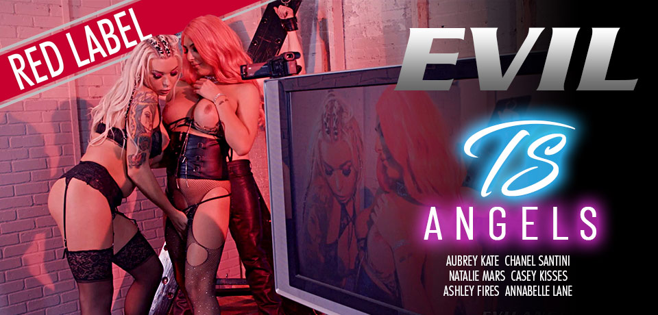 Die Porno DVD TS Angels von EVIL ANGEL bei Edelpornos.de kaufen
