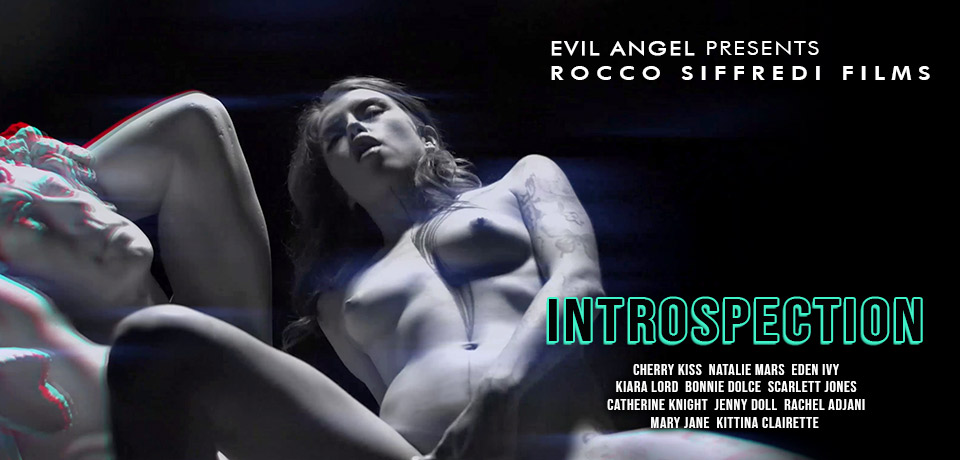 Die Porno DVD Introspection von EVIL ANGEL bei Edelpornos.de kaufen