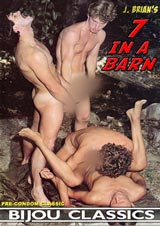 7 In A Barn 7 In A Barn