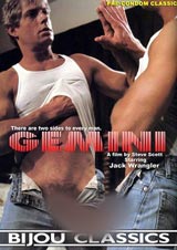Gemini Gemini