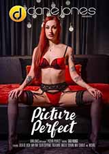 Picture Perfect