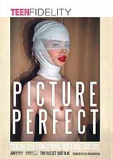 Picture Perfect # 1 - 2 Disc-Set Picture Perfect # 1 - 2 Disc-Set