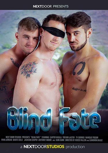 Die Gay Porno DVD Blind Fate von NEXT DOOR bei Edelpornos.de kaufen