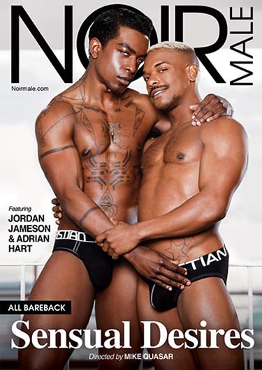 Die Gay Porno DVD Sensual Desires von NOIR MALE bei Edelpornos.de kaufen