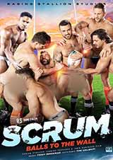 Scrum: Balls To The Wall